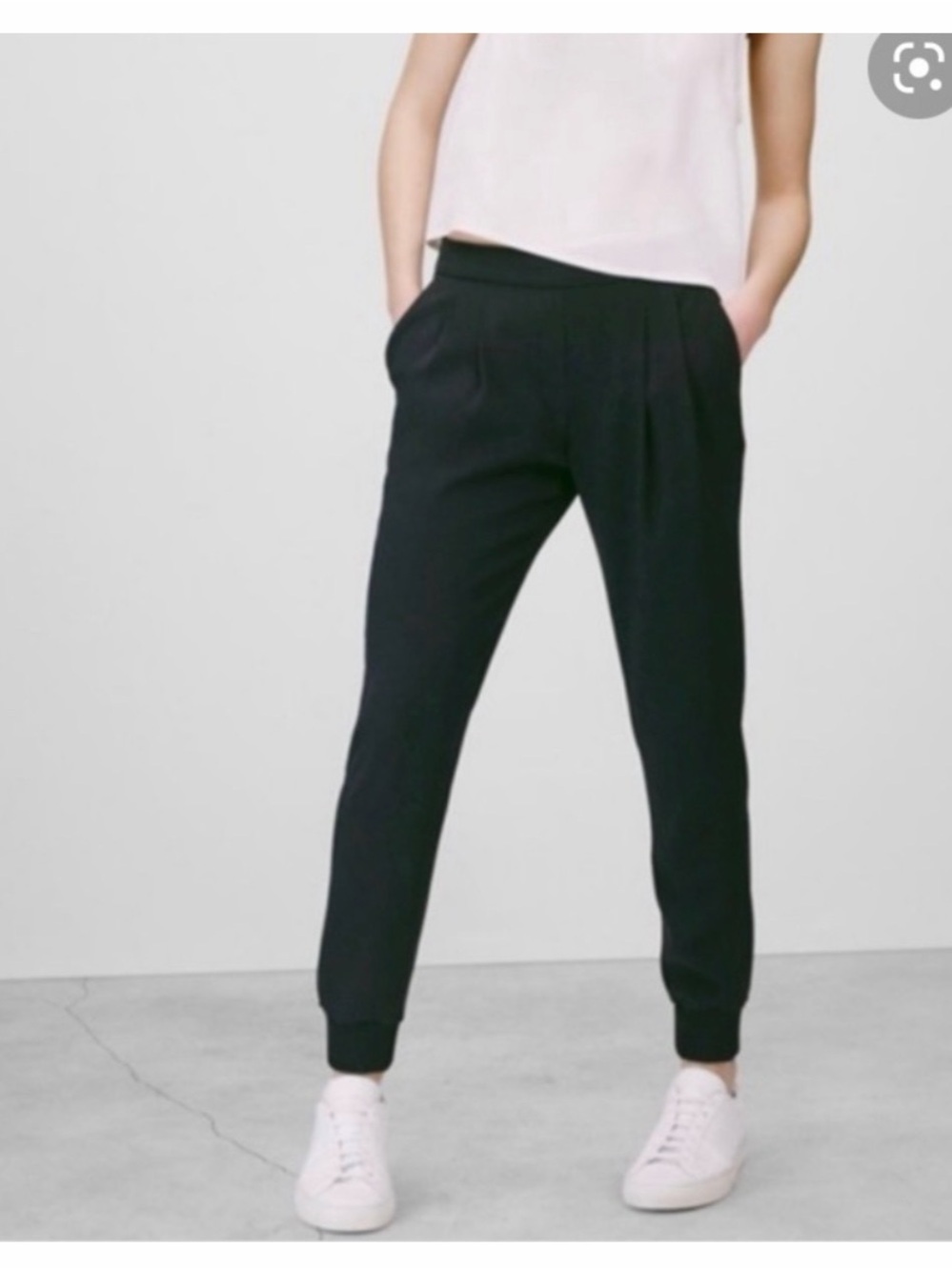 Aritzia Babaton Harvey Trouser Jogger Pants
